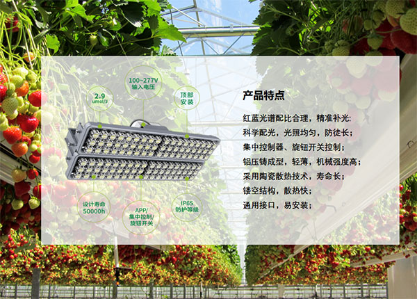 植物生長(zhǎng)照明